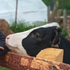 Ден Егоров, 20.07.1988, Москва