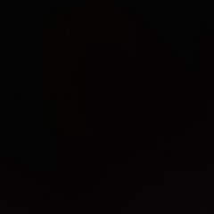 Вадим Ишутин, 04.01.1986, Санкт-Петербург