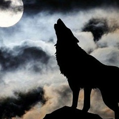 Андрей Бугар, 24.12.1995