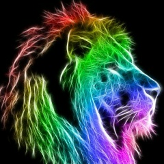 Дмитрий Ткаченко, 11.08.1998, Киев