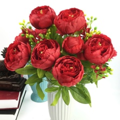 Цзэбо Чэнь, 18.05