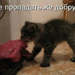 Юля Янишевская, Днепр (Днепропетровск)