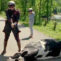 Азамат Дзуганов, 17.03, Нальчик