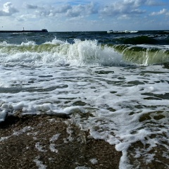 Екатерина Шихова