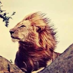 Андрей Прекрасный, 08.01, Москва