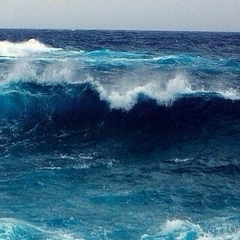 Хеда Исаева, Грозный