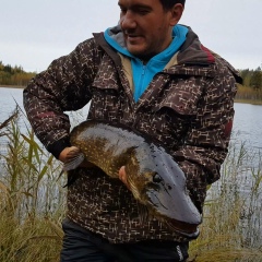 Артем Третьяченко, 19.08, Санкт-Петербург