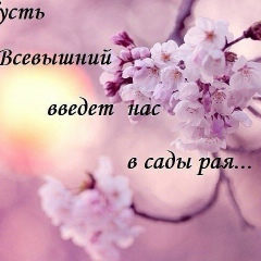 Ясмина Алиева, Москва