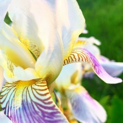 Екатерина Зезина, 22.01, Москва