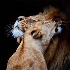 Болат Аканов, 03.12, Атбасар