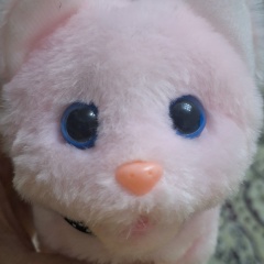 Толкын Шолпанкулова, 15.09.1987