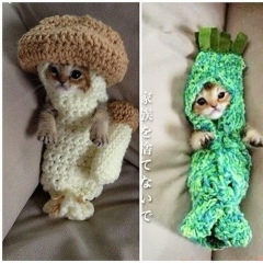 Damira Epbaeva, 28.06.2000, Алматы