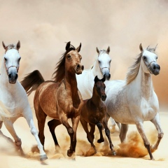 Дармен Базарбаев, 18.07.1988