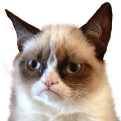 Анастасия Шах, 13.09