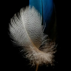 Дилара Исмаилова, 24.05, Москва