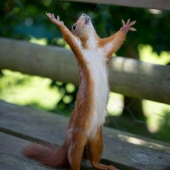 Анна Гамазина, 08.01.1990, Калининград