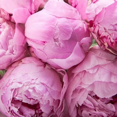 Наталья Мельничук, 13.03.1987, Бендеры