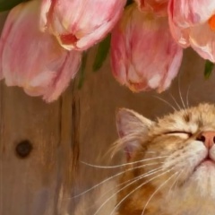 Iuliia Gribanova, 12.07, Санкт-Петербург