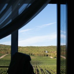 Анна Нестерова, 28.01, Москва