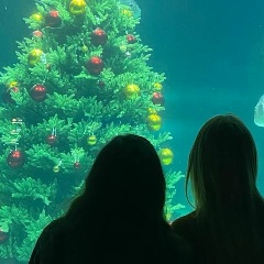 Анна Матюшенко, Москва