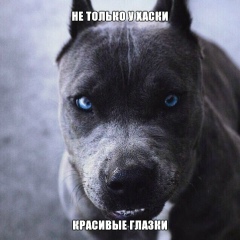 Вадим Вострецов, 01.09.1905, Пермь