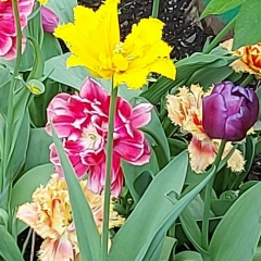 Галина Биттер, 20.09, Москва