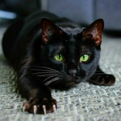 Екатерина Ладугина, 06.12, Москва