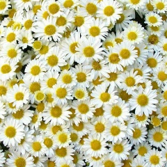 Ксения Денисова, 10.02.1989, Ахтубинск