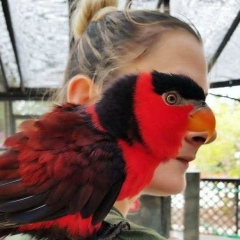 Юлия Белоусова