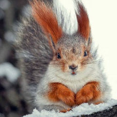 Татьяна Корягина, 04.09