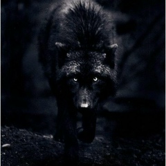 Лема Эльсункаев, 09.02, Грозный