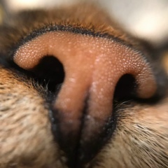 Юрий Маркевич, 22.04, Минск