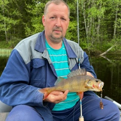 Сергей Жуков, 07.09, Ляды