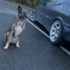 Максим Сафонов, 03.02.1990, Москва