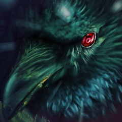 Дмитрий Жуков, 10.08, Москва