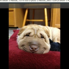 Ксения Суздалева, Калининград