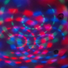 Диана Распутина, Екатеринбург