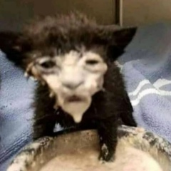 Лев Вартанян, 24.06, Ашхабад