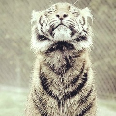 Лия Иванова, 07.05.1986, Санкт-Петербург