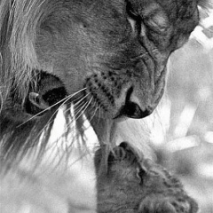 Алексей Владимирович, 16.04, Санкт-Петербург