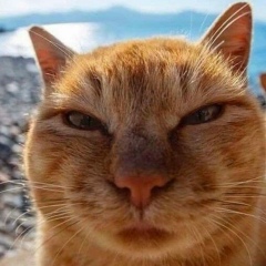 Максим Мясоедов, 29.03, Санкт-Петербург