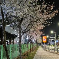 Мария Калинина, 29.08.1988, Москва
