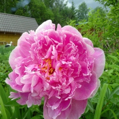 Марина Соколова, 08.01, Архангельск