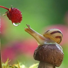 Владислав Паршиков, 29.09, Клайпеда