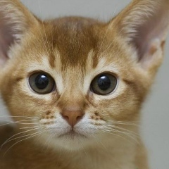 Тина Сарапулова, 10.03, Уфа