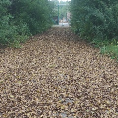 Евгений Харитонов, 18.12.1986, Лесосибирск