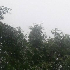 Yar-Zar Htun, 02.09.1987