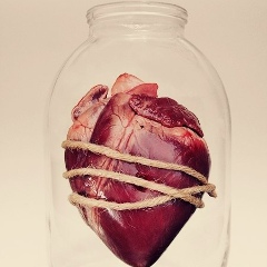 Элина Шахабова, 06.05, Грозный