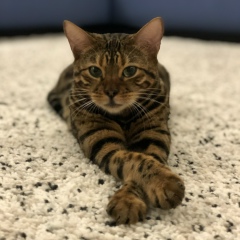 Anastasia Krasavtseva, 22.05, Санкт-Петербург