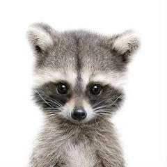 Ирина Аллегрова, 12.06.1987